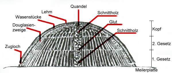 Schema der Entzndung